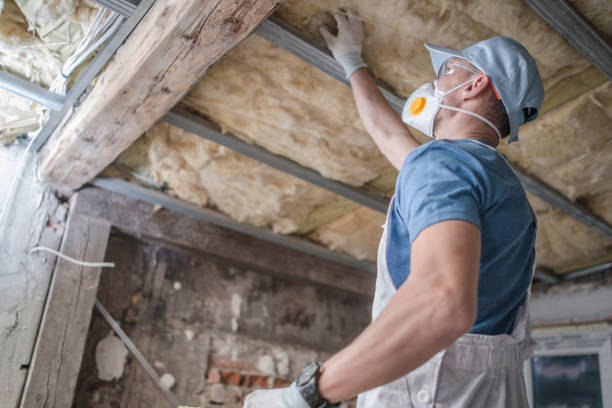 Best Insulation Maintenance and Repair in Hamburg, AR