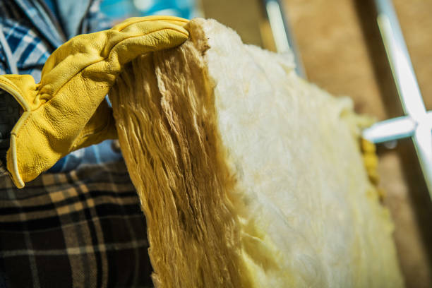 Best Insulation for Specific Applications in Hamburg, AR
