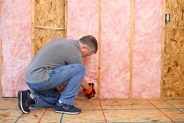 Best Spray Foam Insulation in Hamburg, AR