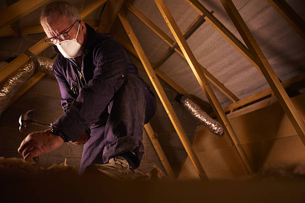 Best Energy Efficiency Insulation in Hamburg, AR